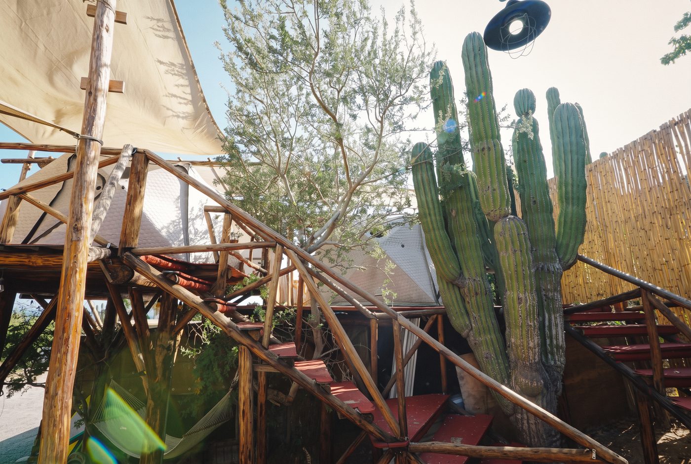 Hammocks, wooden stairs and the tents among the cardones