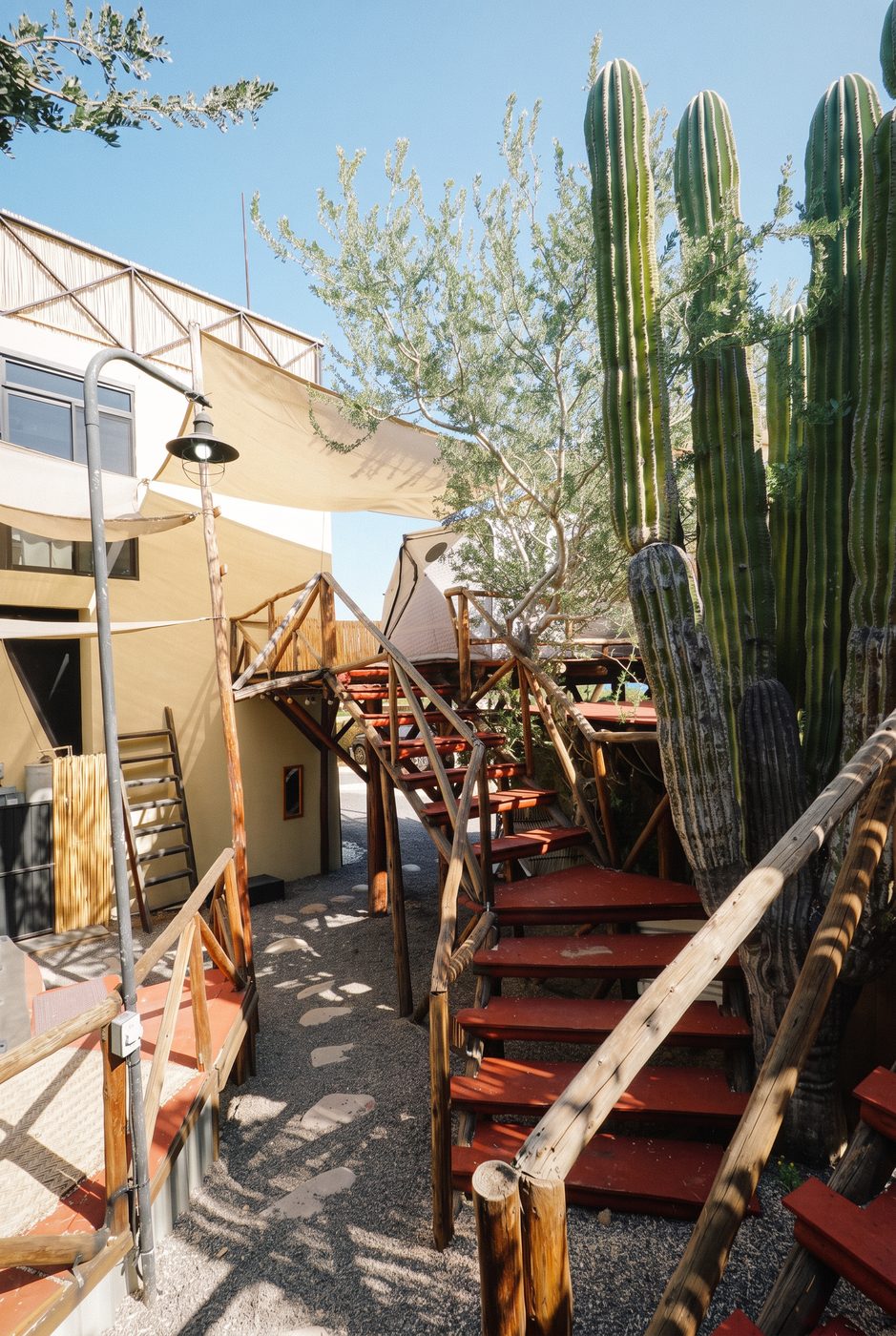 Wooden stairs climb to the tent platforms among cardón cacti and shade sails